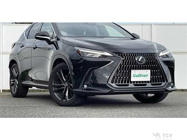 2023 Lexus NX