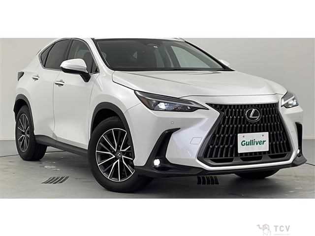 2023 Lexus NX