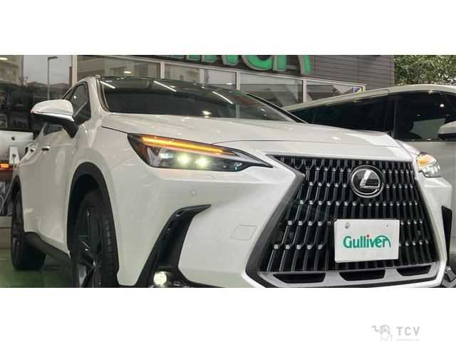 2023 Lexus NX