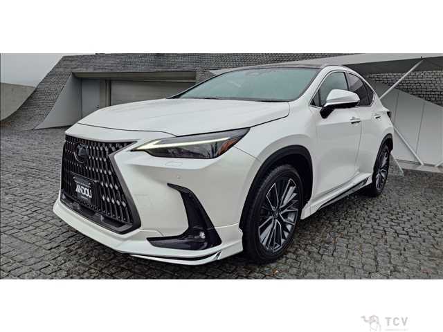 2023 Lexus NX