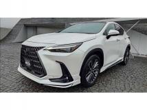 2023 Lexus NX