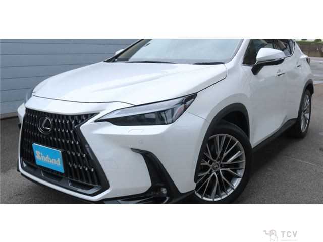 2023 Lexus NX