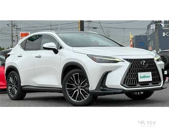 2023 Lexus NX