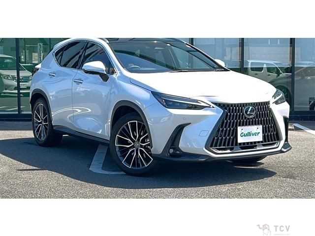 2023 Lexus NX