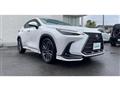 2023 Lexus NX