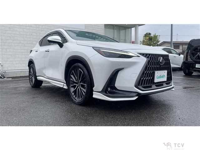 2023 Lexus NX