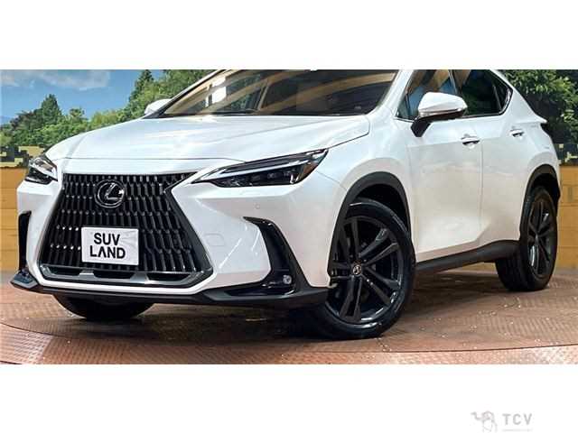 2023 Lexus NX