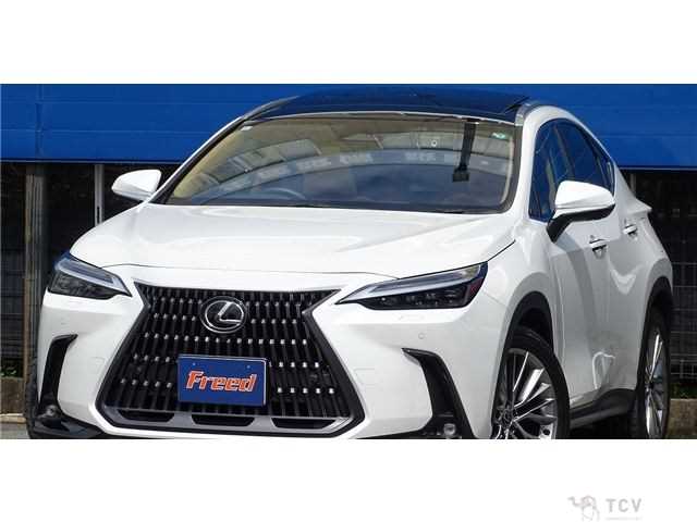 2023 Lexus NX