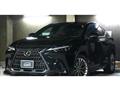 2023 Lexus NX
