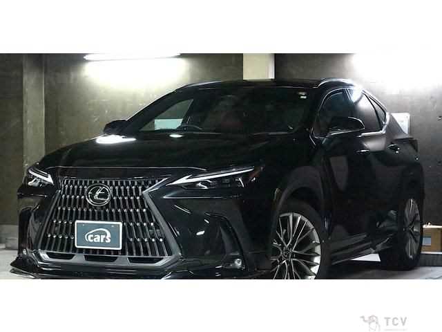 2023 Lexus NX