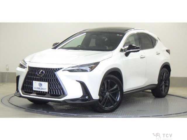 2023 Lexus NX