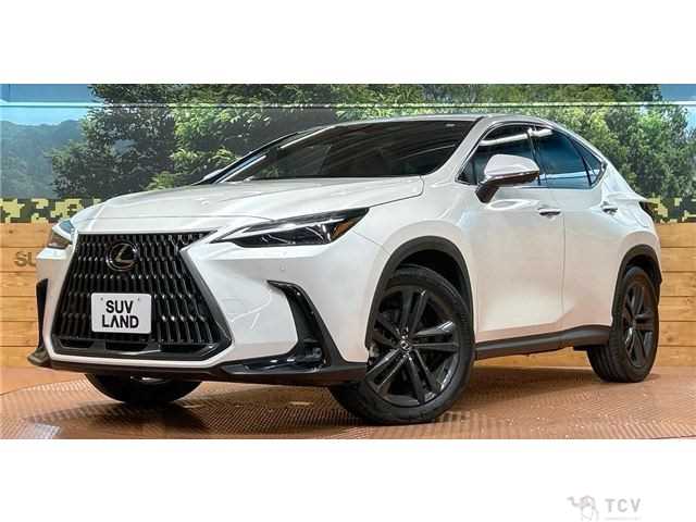 2023 Lexus NX