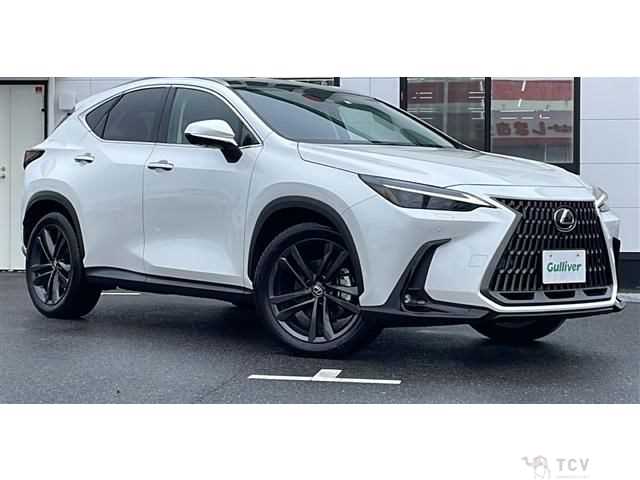 2023 Lexus NX