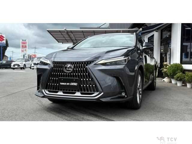 2023 Lexus NX