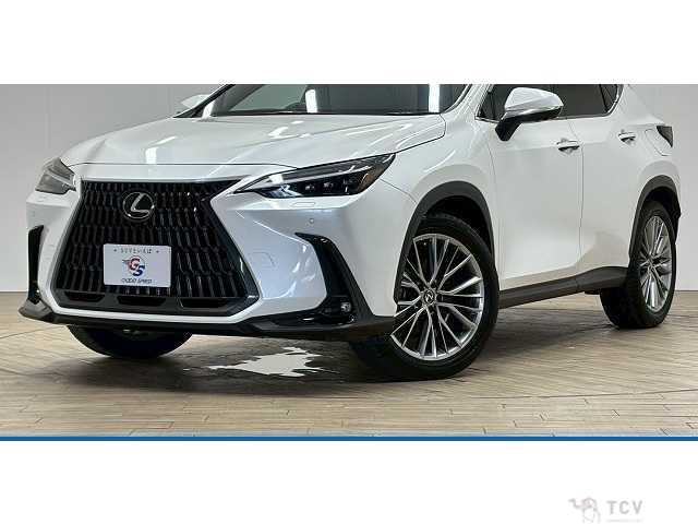 2023 Lexus NX