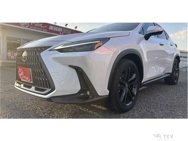 2023 Lexus NX