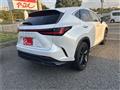 2023 Lexus NX