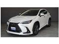 2023 Lexus NX