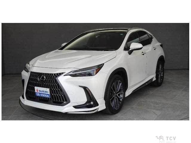 2023 Lexus NX