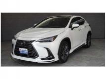 2023 Lexus NX