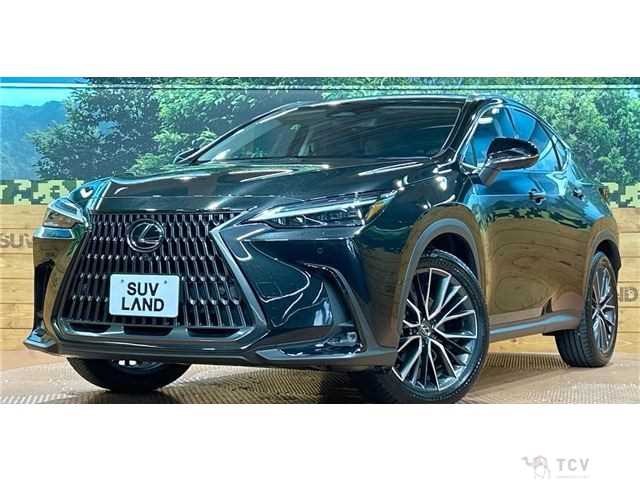 2023 Lexus NX