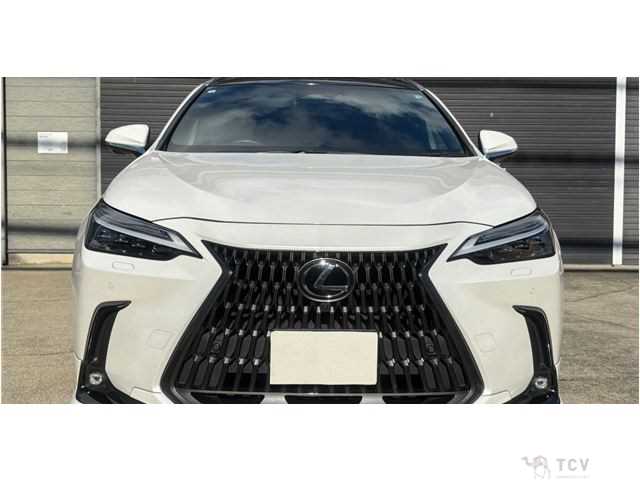 2023 Lexus NX