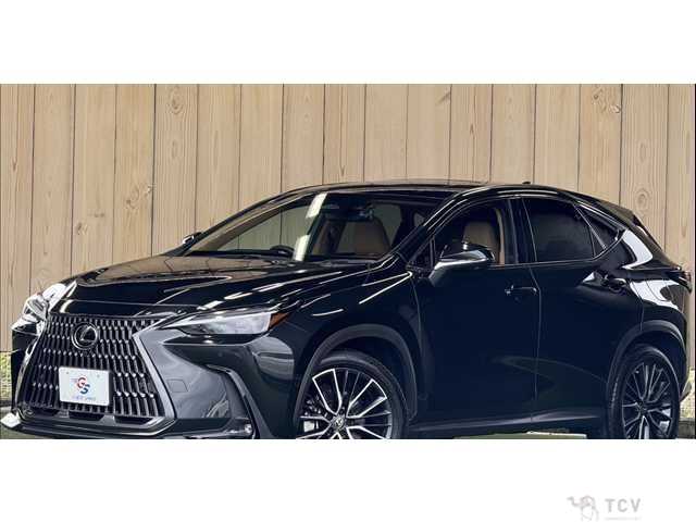 2023 Lexus NX