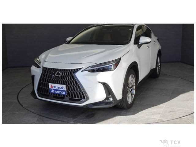2023 Lexus NX