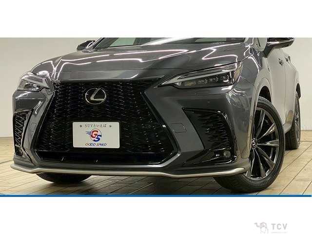 2023 Lexus NX