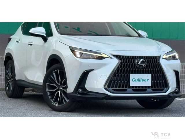 2023 Lexus NX