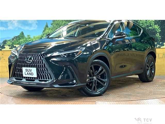 2023 Lexus NX