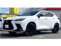 2023 Lexus NX