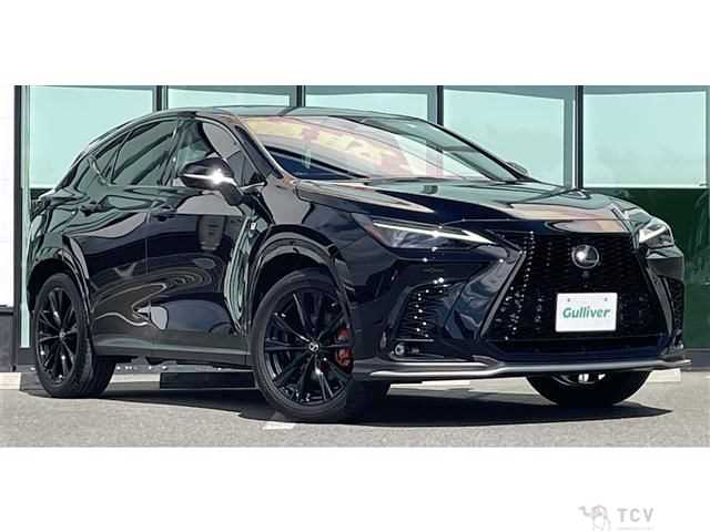 2023 Lexus NX