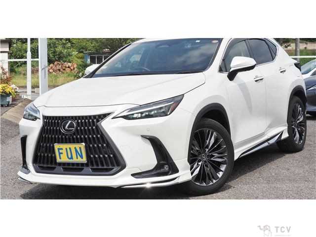 2023 Lexus NX