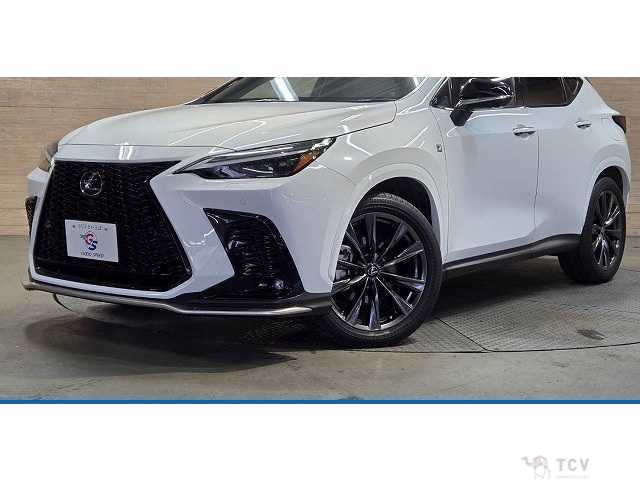 2023 Lexus NX
