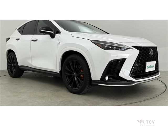 2023 Lexus NX