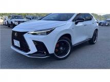 2023 Lexus NX