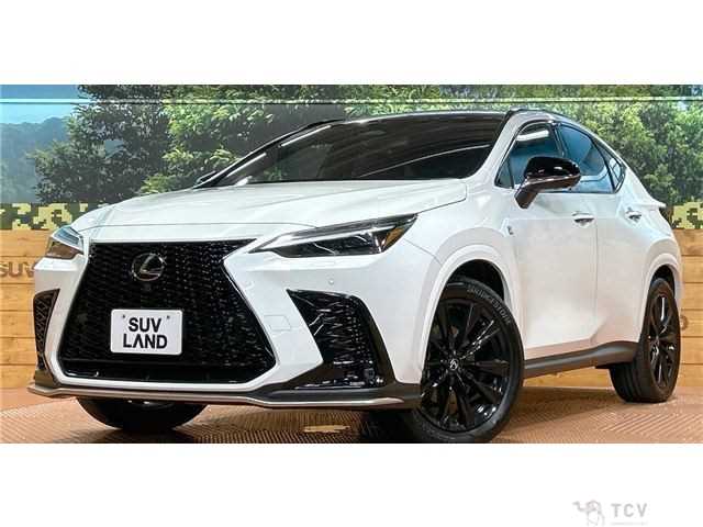 2023 Lexus NX