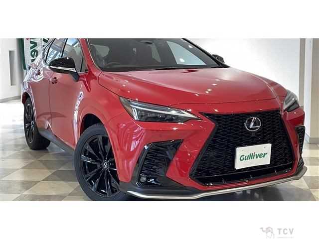 2023 Lexus NX