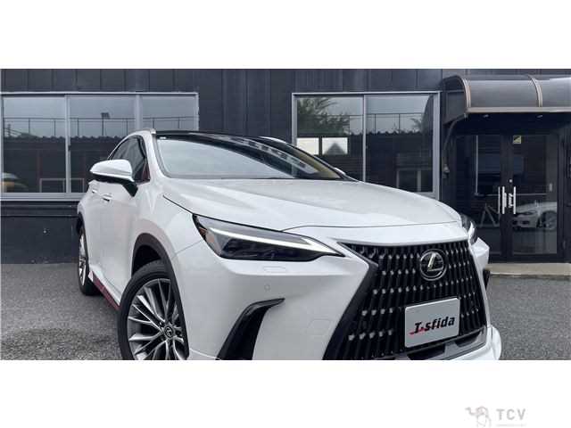 2023 Lexus NX