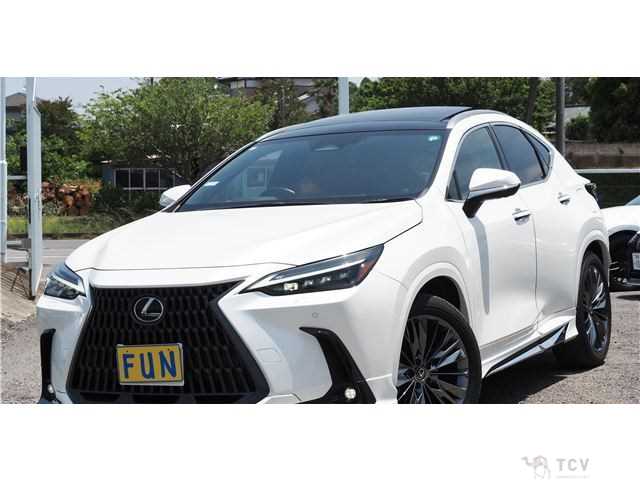 2023 Lexus NX