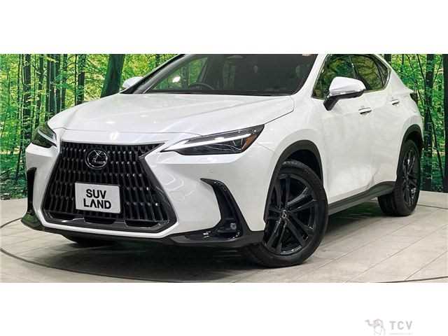 2023 Lexus NX