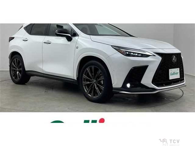 2023 Lexus NX