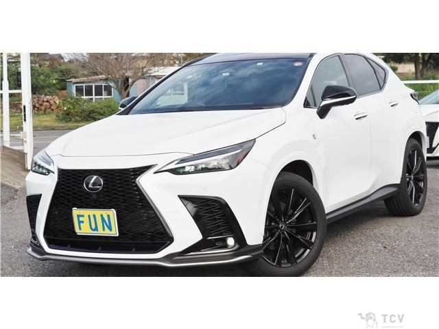 2023 Lexus NX