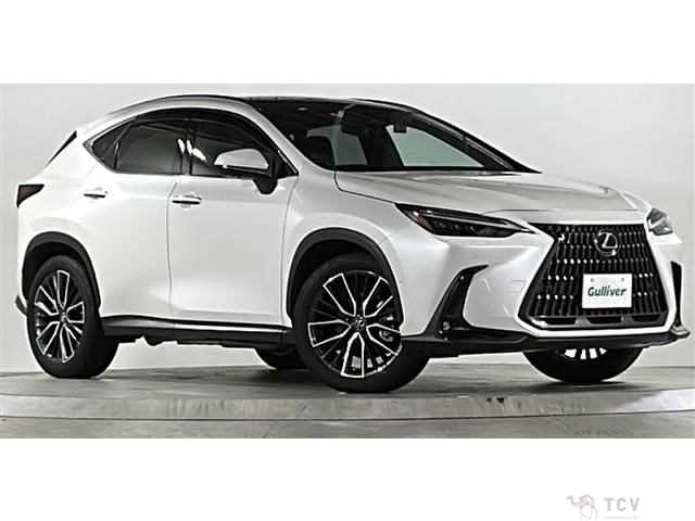 2023 Lexus NX