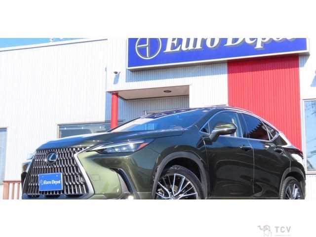 2023 Lexus NX