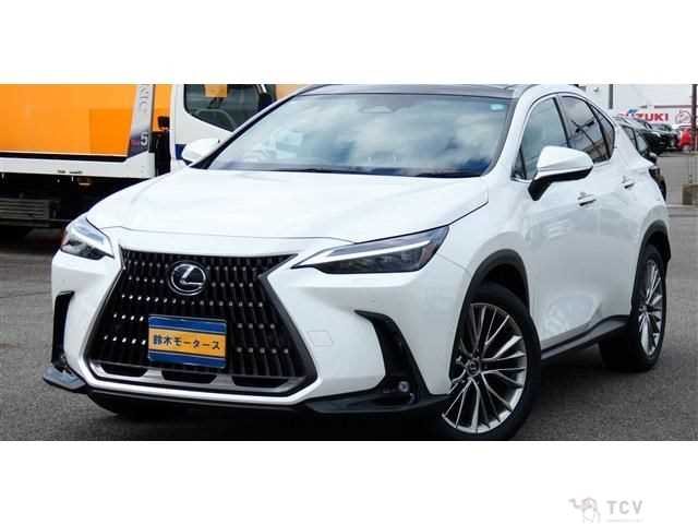 2023 Lexus NX