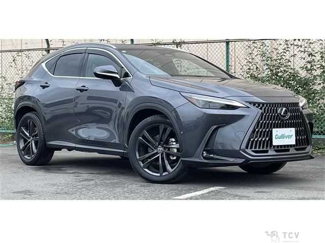 2023 Lexus NX