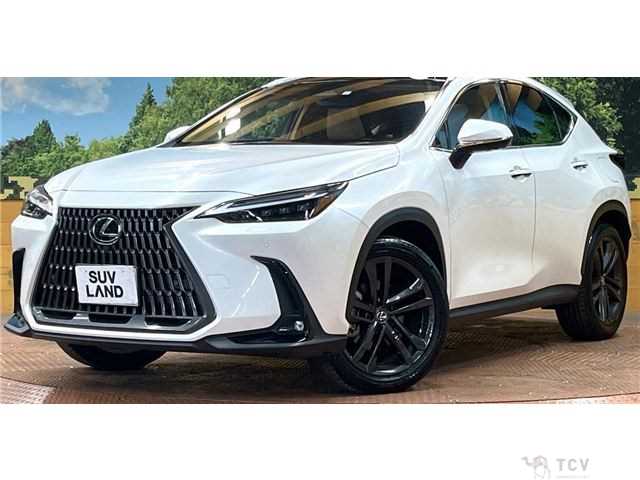 2023 Lexus NX