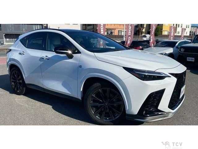 2023 Lexus NX